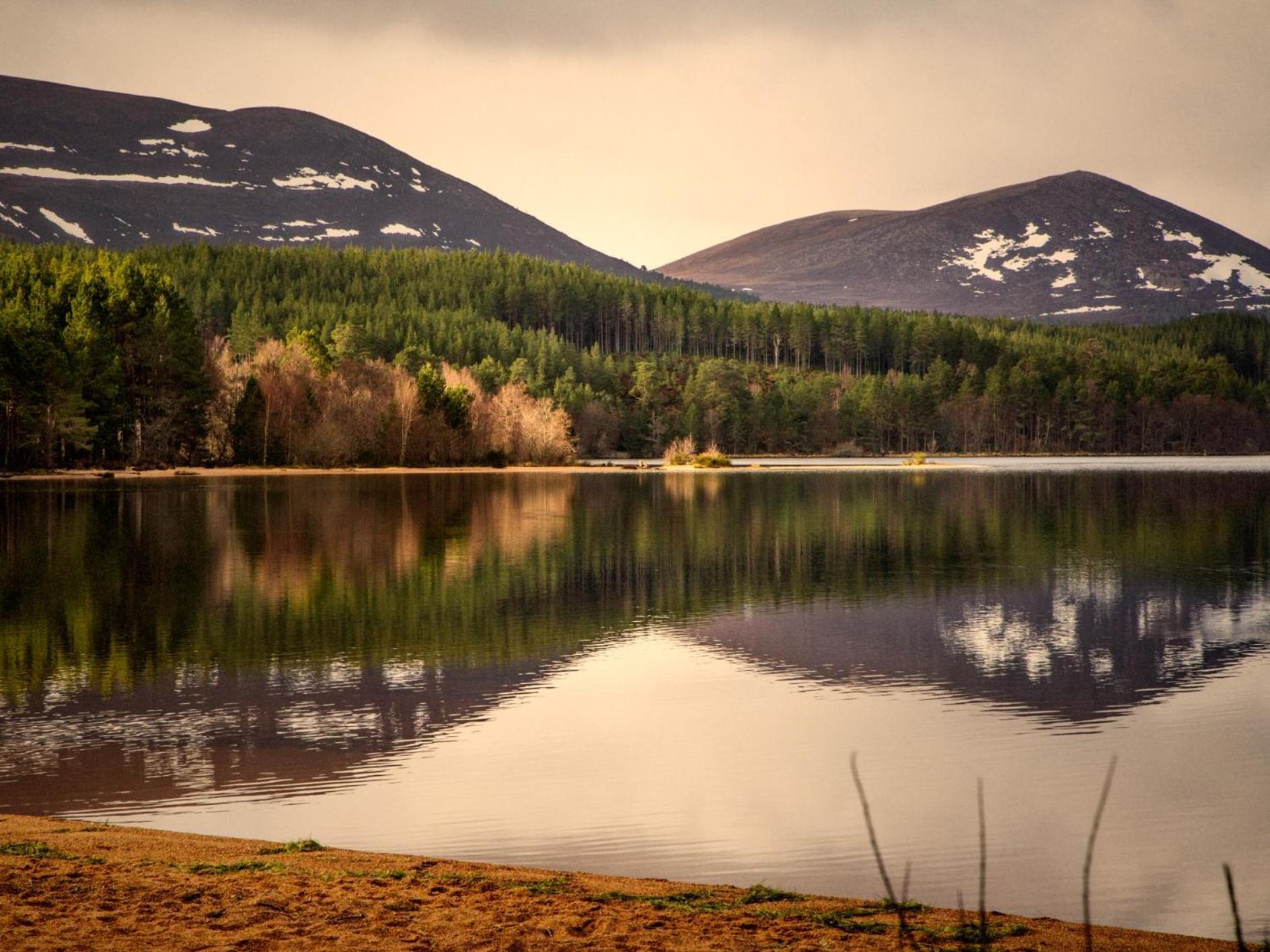 Вилла The Retreat Belladrum Экстерьер фото